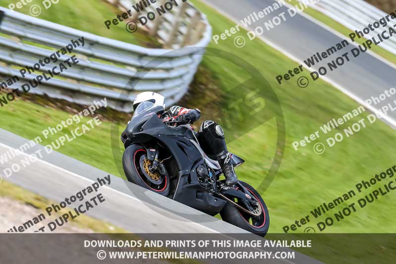 Oulton Park 21st March 2020;PJ Motorsport Photography 2020;anglesey;brands hatch;cadwell park;croft;donington park;enduro digital images;event digital images;eventdigitalimages;mallory;no limits;oulton park;peter wileman photography;racing digital images;silverstone;snetterton;trackday digital images;trackday photos;vmcc banbury run;welsh 2 day enduro